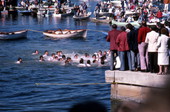 Boys competing in contest to retrieve an epiphany cross - Tarpon Springs, Florida