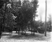 Florida Railway and Navigation Company engine #15 at the Lanark Hotel.