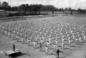 Brooklyn Dodgers doing calisthenics prior to training in Vero Beach, Florida.