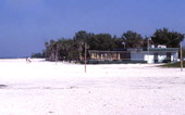 Beach view showing volleyball net and snack bar at Sarasota.