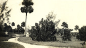 Postcard of scenic garden walkways on the Koreshan Unity property in Estero, Florida.