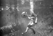 Underwater film crew working on "Revenge of the Creature" set at Silver Springs.