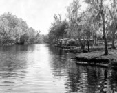 View of structures at a fishing camp - Aucilla River, Florida