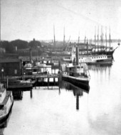 Boats lined up along the wharf in Jacksonville.