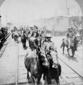 Arrival of the Rough Riders - Tampa, Florida.