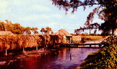 Seminole Indian village along Tamiami Trail in Florida - Tamiami Trail, Fla.