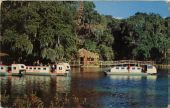 Glass bottom boats at Rainbow Springs.