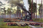 Logging train pulling out for the coast - near Pensacola, Florida.