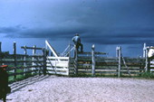 Cowboys standing on top of the corral fence