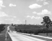 Citrus Tower - Clermont, Florida