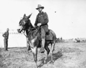 Spanish-American War officer on a mule.