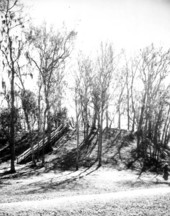 View of temple mound and stairs at Lake Jackson Mounds State Park :Tallahassee, Florida.