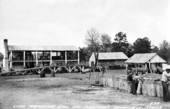 Lewis Plantation turpentine still - Brooksville, Florida