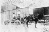 Japanese men in horse drawn cart - Yamato, Florida