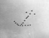 Naval air reserve training unit flyover in the shape of an anchor - Jacksonville, Florida