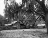 Barn at Salt Springs - Salt Springs, Florida .