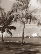 View looking toward hotels - Palm Beach, Florida.