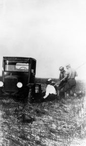 Mired motorists - Tamiami Trail, Florida