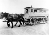 Horse drawn school bus - Jacksonville, Florida