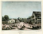 Lithograph of a residential street scene in Tallahassee, Florida.