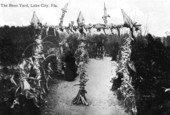 Aunt Aggie in her bone yard - Lake City, Florida