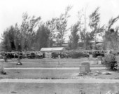 Burial of victims of the 1928 hurricane - West Palm Beach, Florida.