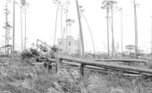 Riviera section after the 1926 hurricane - Coral Gables, Florida