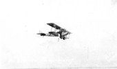 Stuntman hanging from wing of flying Jenny : Daytona Beach, Florida.