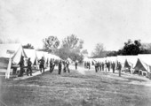 Company Street, Battery D, 1st U.S. Arty., Camp Seymour, Beaufort, S. C.