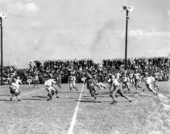 Florida A & M Rattler's football game - Tallahassee, Florida.