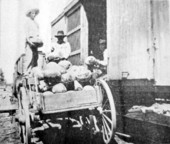 Loading watermelons on the Live Oak, Perry and Gulf Railroad in Lancaster