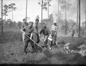 FFA boys from Leon County fighting fire during a controlled burn at the J.W. Williams Memorial Forest.