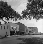 Looking south on Monroe St. from the corner of Park Ave. in downtown Tallahassee.