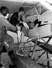 Pilot Dan Cardinal picking up seafood - Naples, Florida