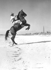 Rancher, Jim Dandy with his horse Lightning - Pass-A-Grille, Florida