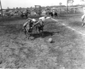 Cowboys play polo - New Smyrna Beach, Florida .