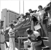 St. Louis Cardinals Spring training - Saint Petersburg, Florida