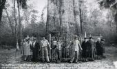 Tourists holding hands around the "Big Tree" near Longwood, Florida.