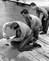 Game and fish officers tag an alligator .