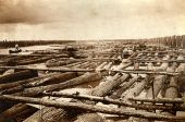 Close-up view of log rafts in a log boom at Apalachicola, Florida.